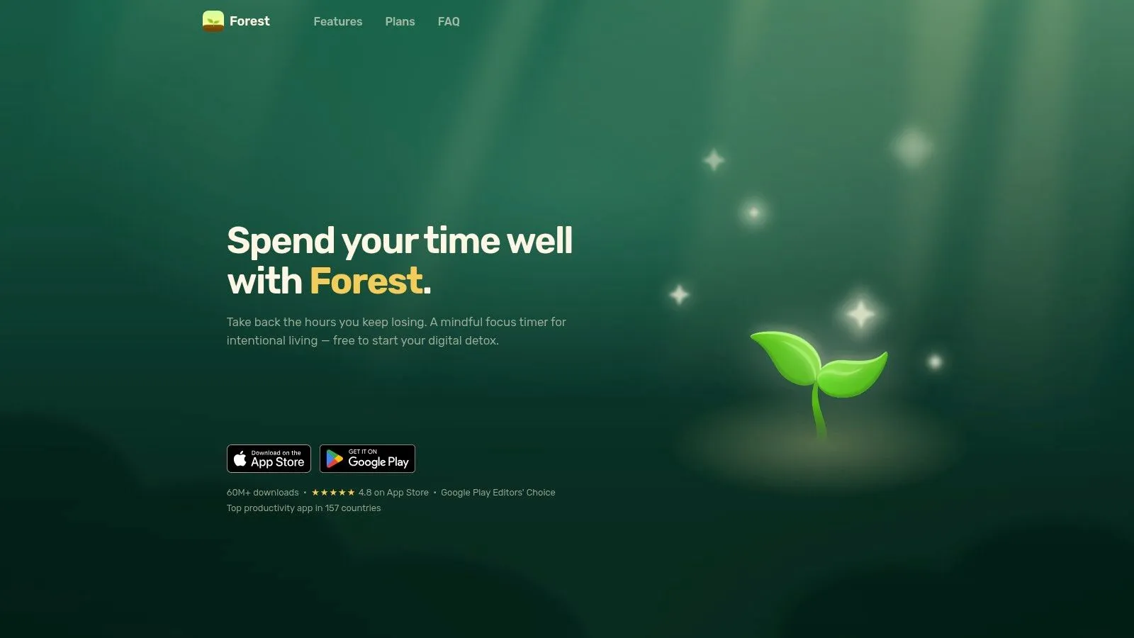 Forest