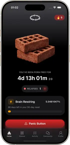 Obex app — streak tracking and rank progression